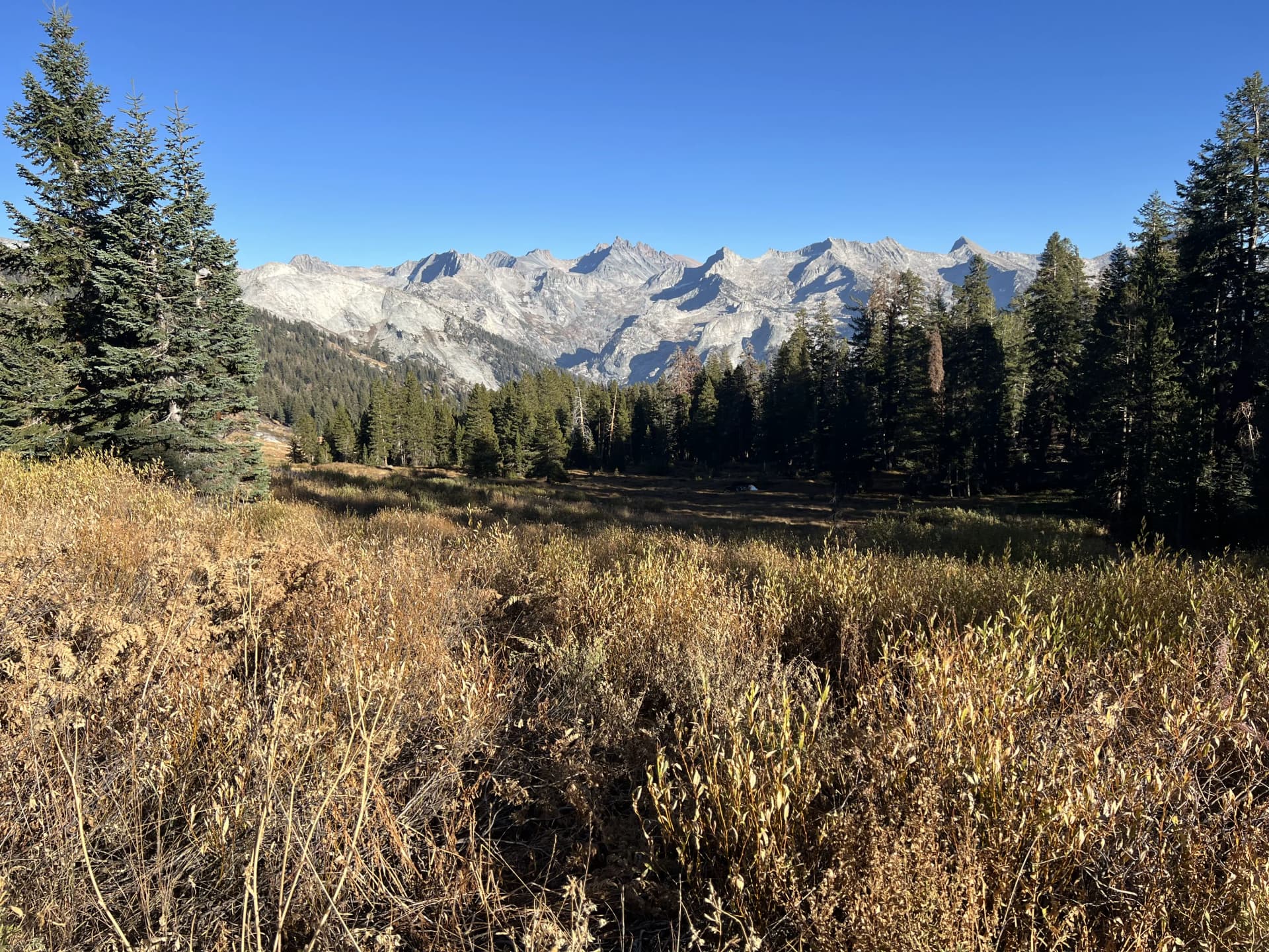 Alta Meadow