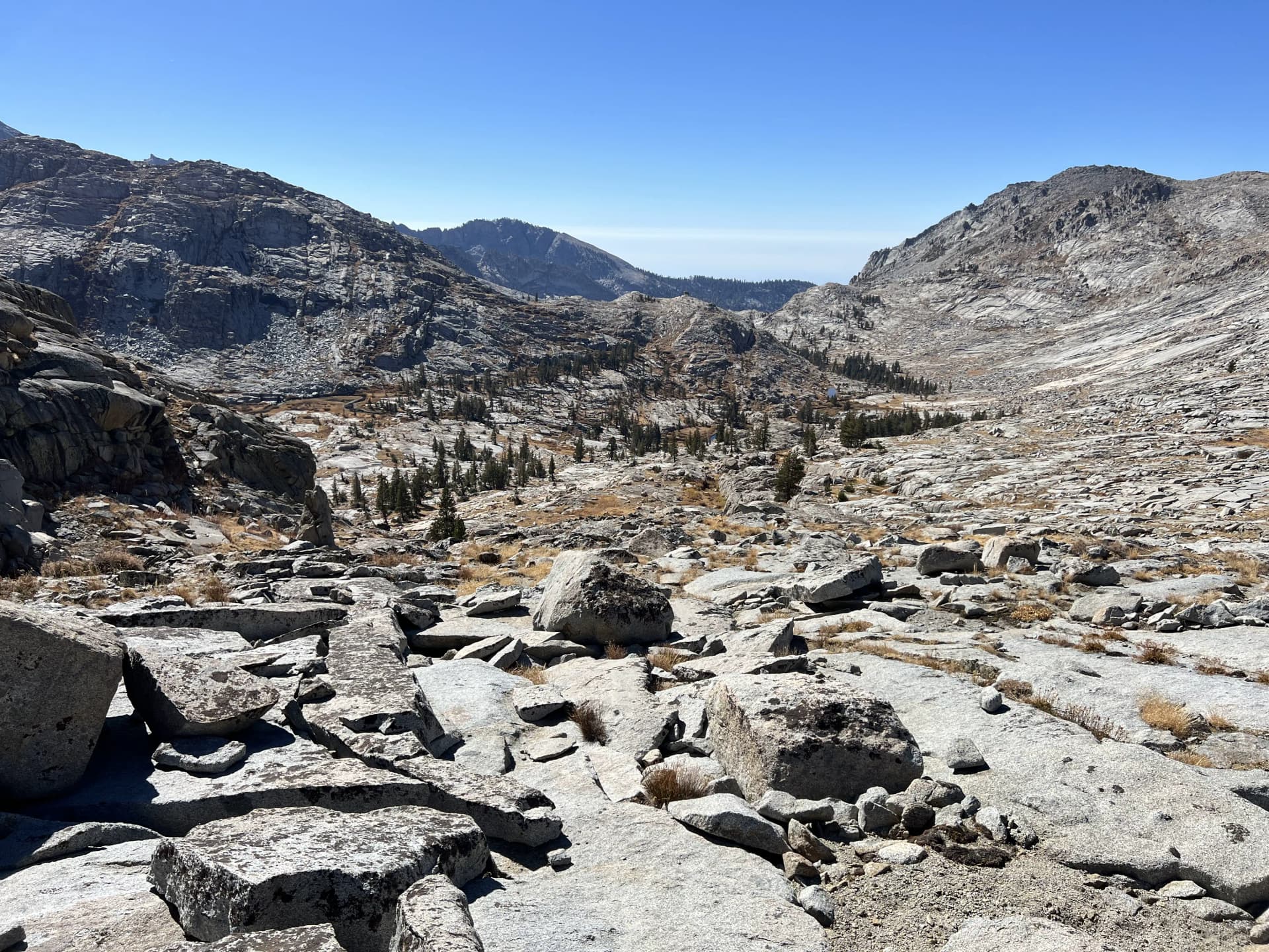 Tablelands meadow